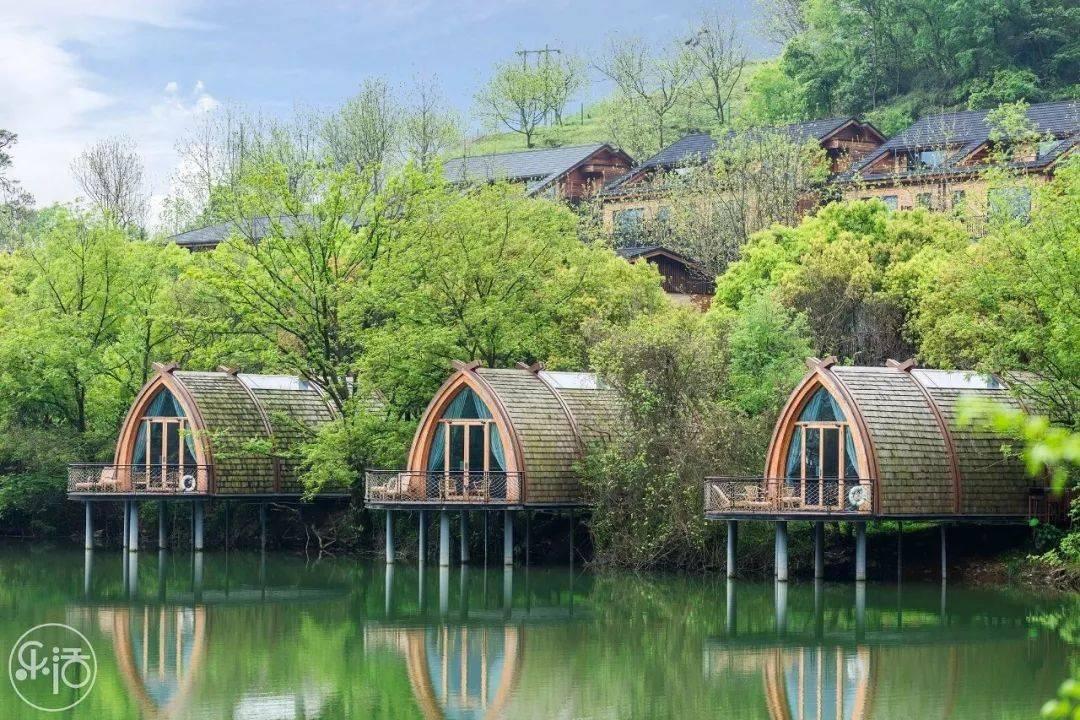 刚出土新的姜的保存方法