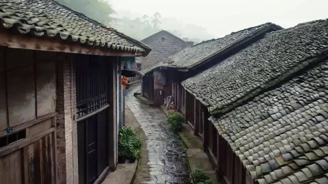 王思聪更新社交动态疑似在炫富，玩偶多到数不清，都有什么值钱的东西？